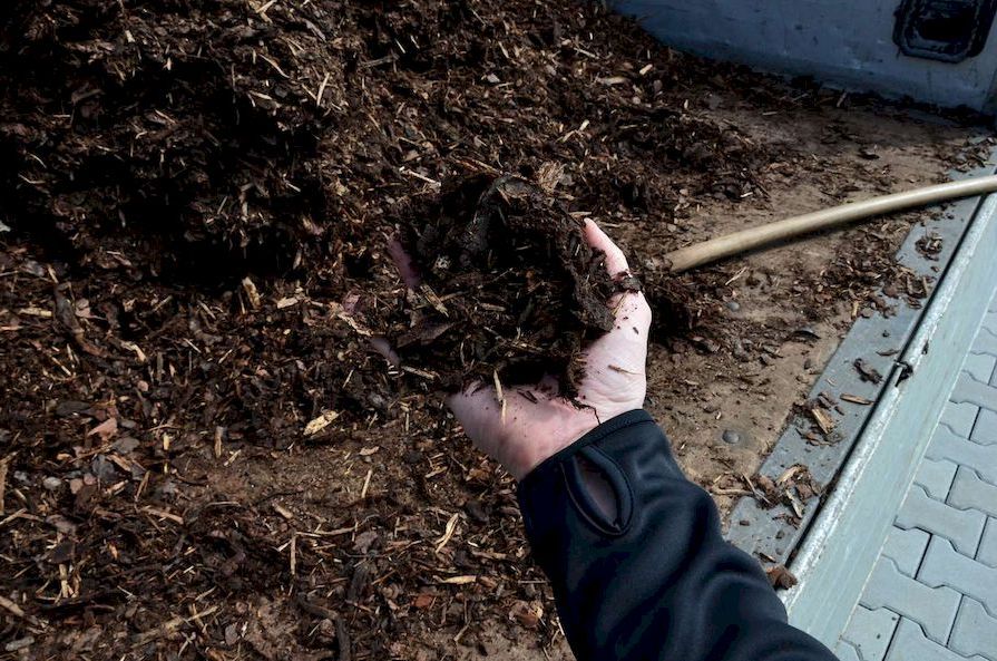 Mulčovací kůra na záhonu