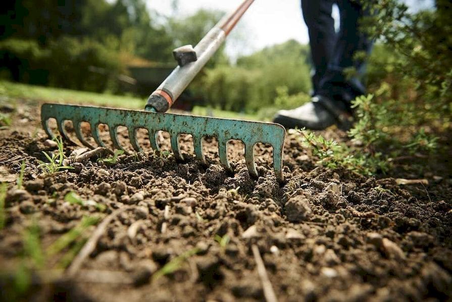 Pokládka netkané textilie (krok 1): Úprava záhonu