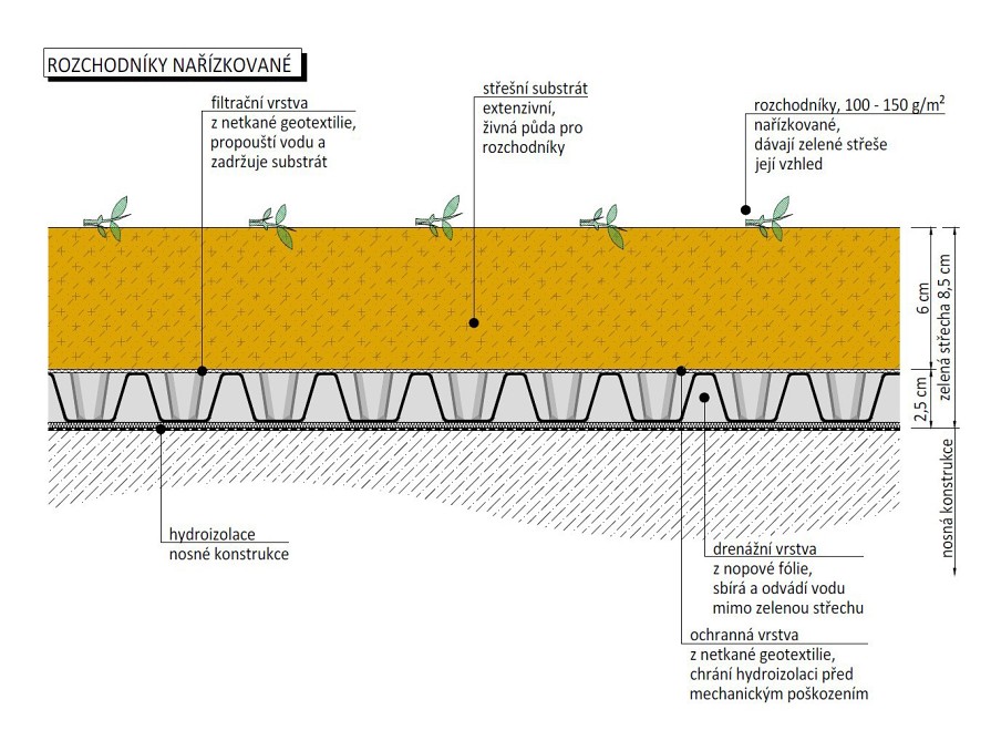 Skladba extenzivní zelené střechy s rozchodníkovými řízky