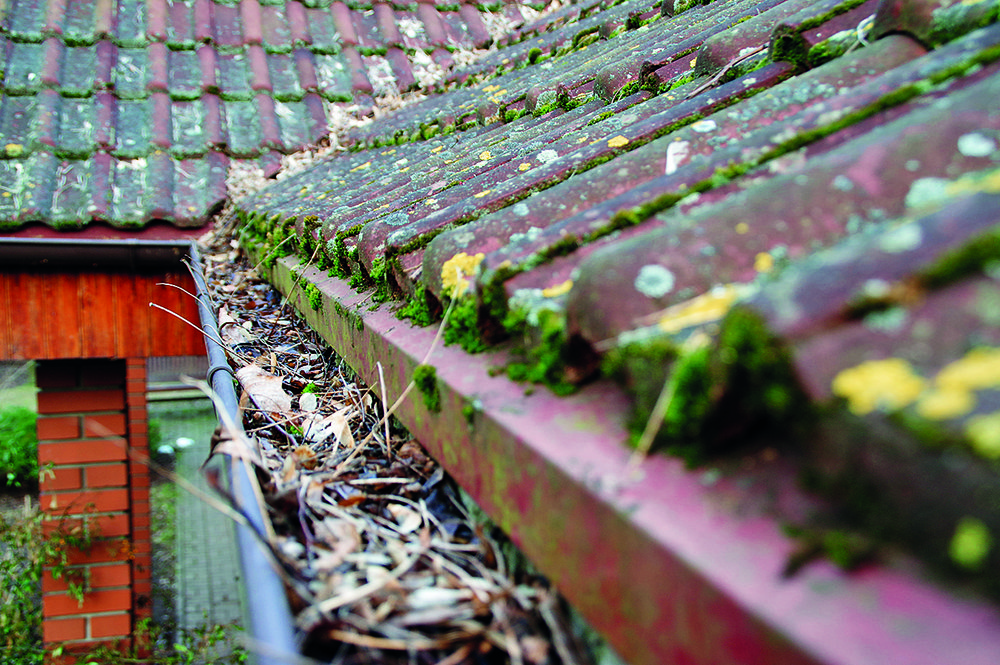 Střešní okap s napadaným listím